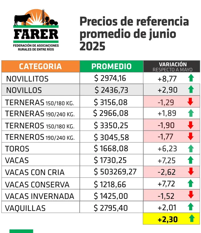 514202374_1134054922086065_8093693087466354120_n