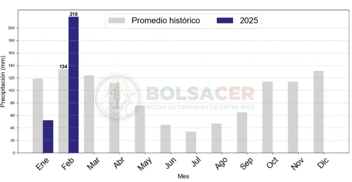 figura1