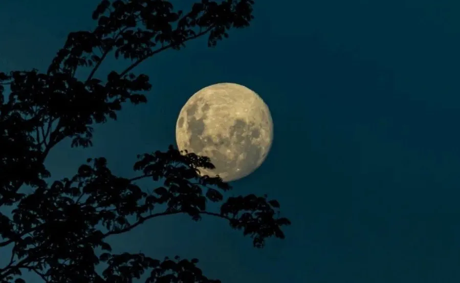 luna