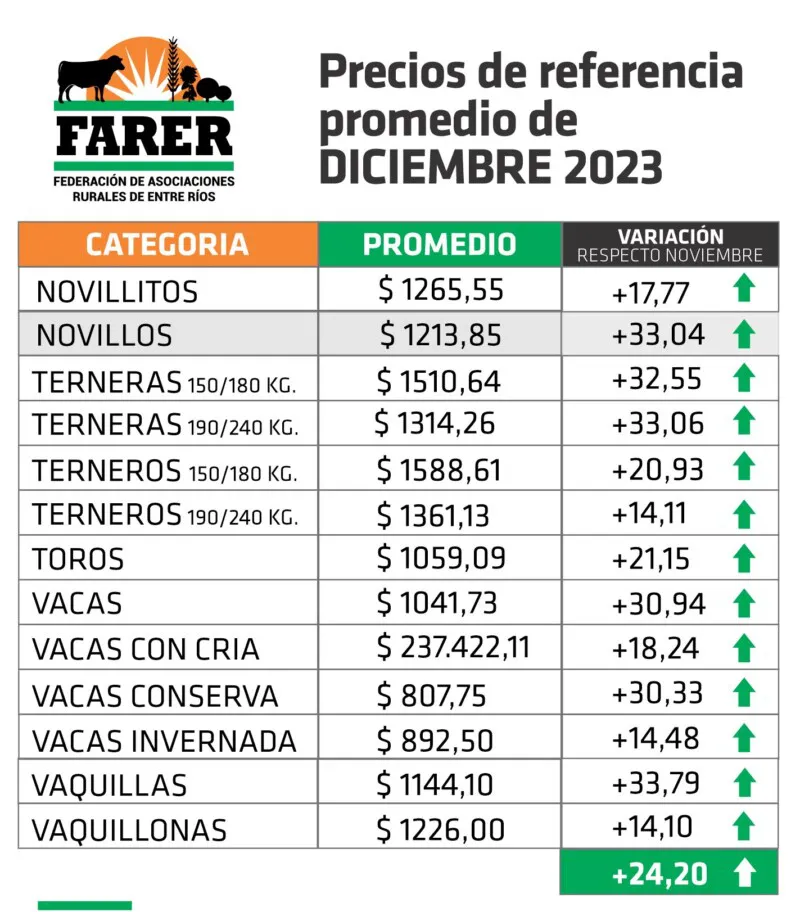 FARER_cuadro-de-hacienda-enero-2024-800x912