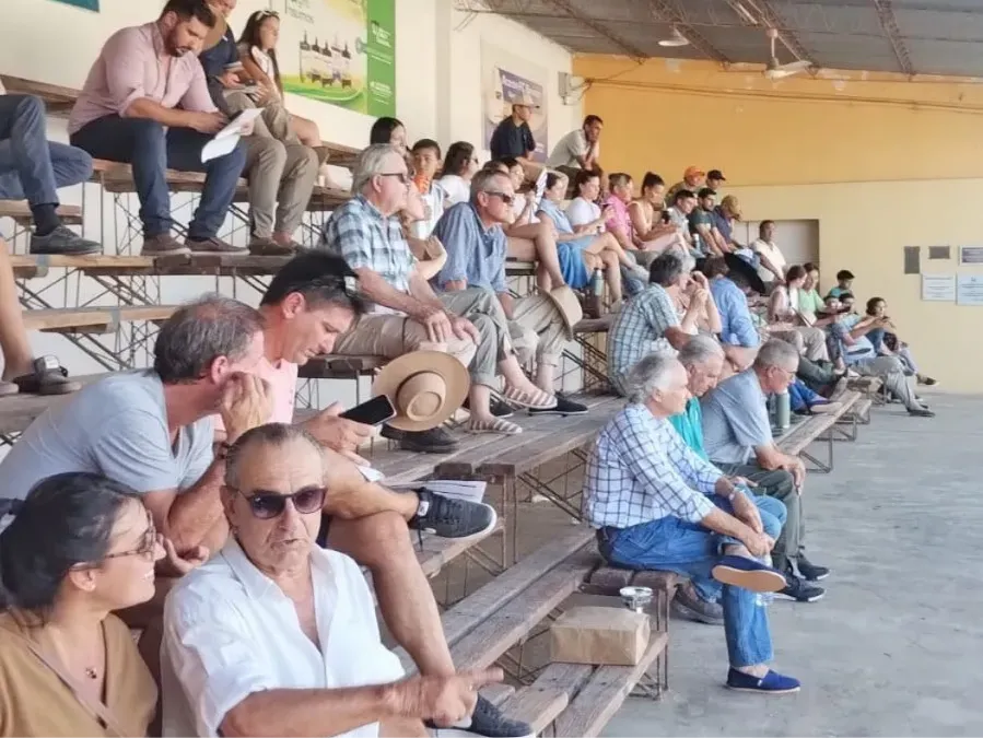 488711369_1067497632075128_5579499097088677401_n