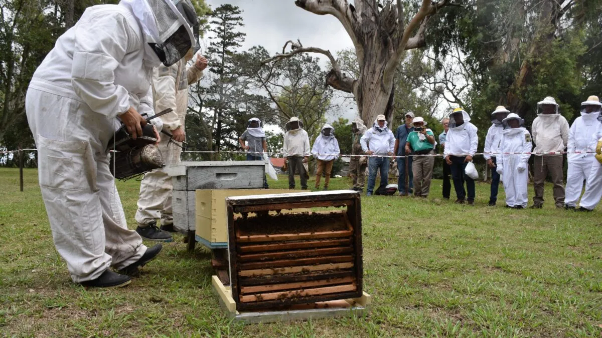 dinamicas-a-campo-1200x675