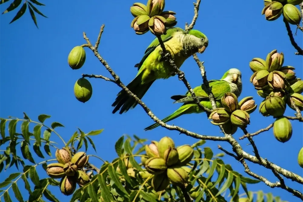 Gemini_Generated_Image_e7jvjbe7jvjbe7jv