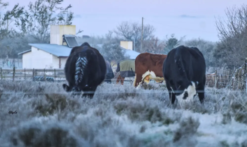 450658426_7887848787995774_3962346223086084008_n