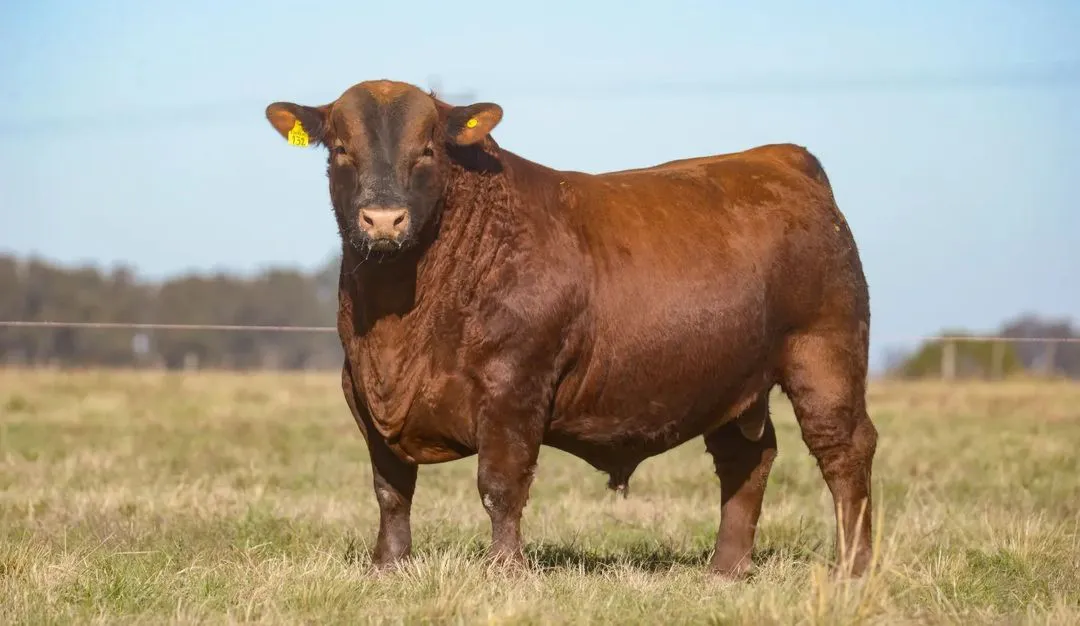 Sin_título-3R1C1 (2)