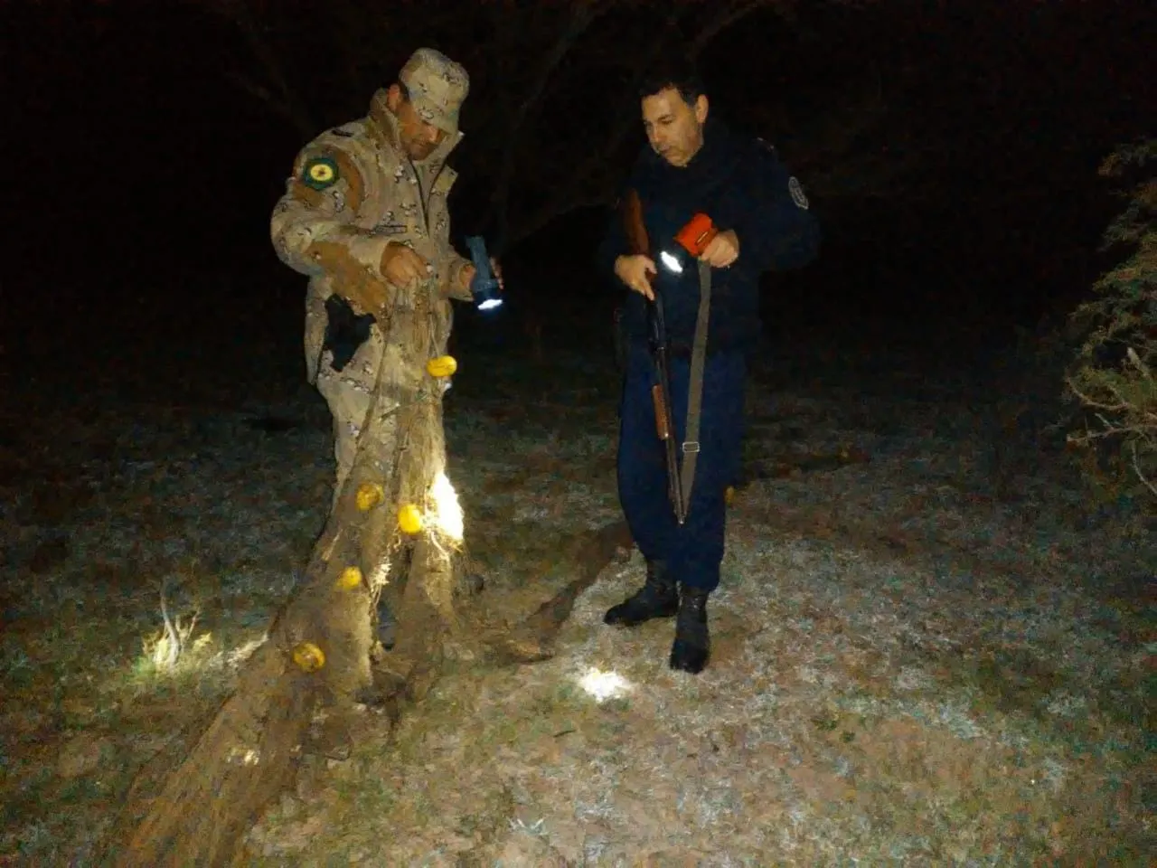 c1c5db37-5806-48f1-bd07-acba21d8183d