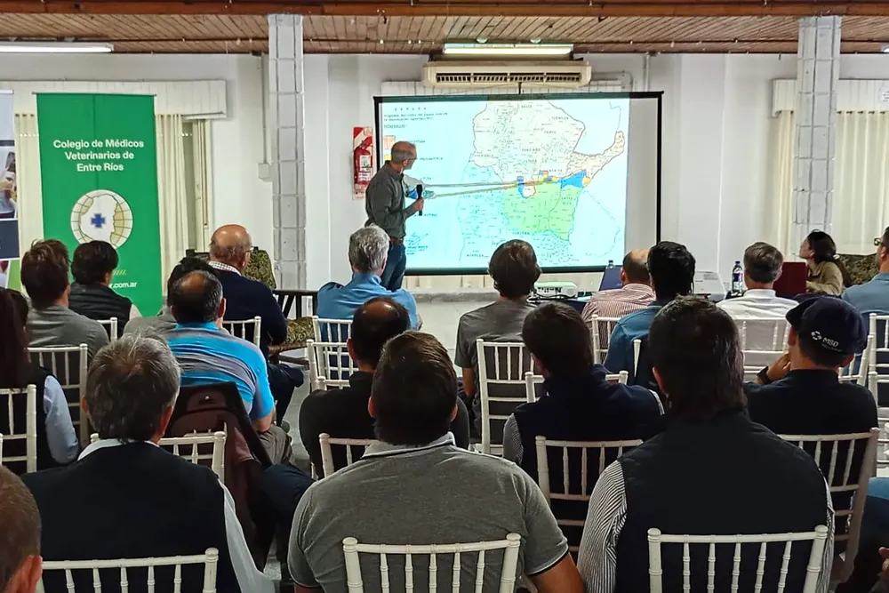 Foto I Jornada Tristeza