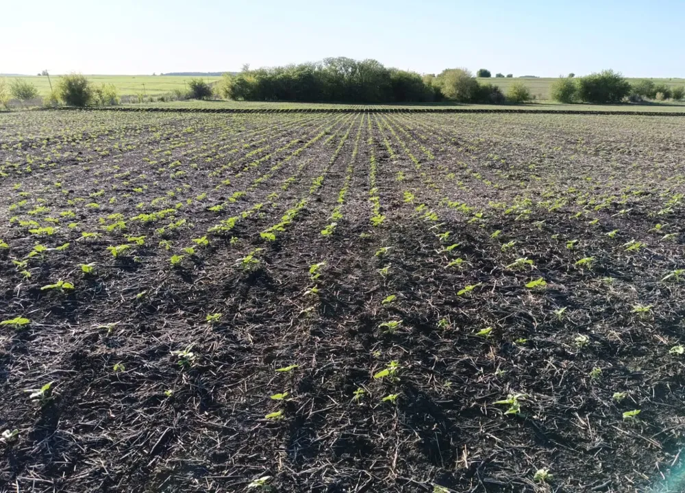 WhatsApp-Image-2025-09-26-at-10.20.17-AM-1536x1106