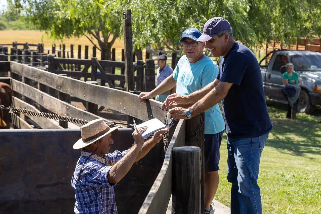 Ricardo Mendizábal Consignaciones SRL(1)