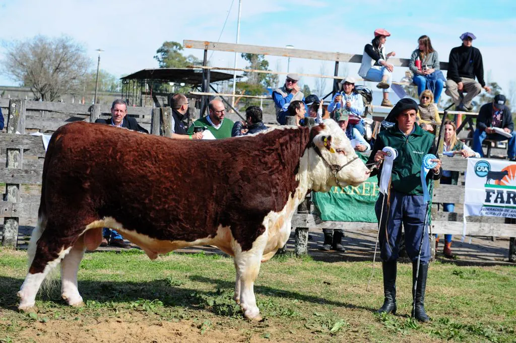 438706031_903130461823324_8597185120819838193_n