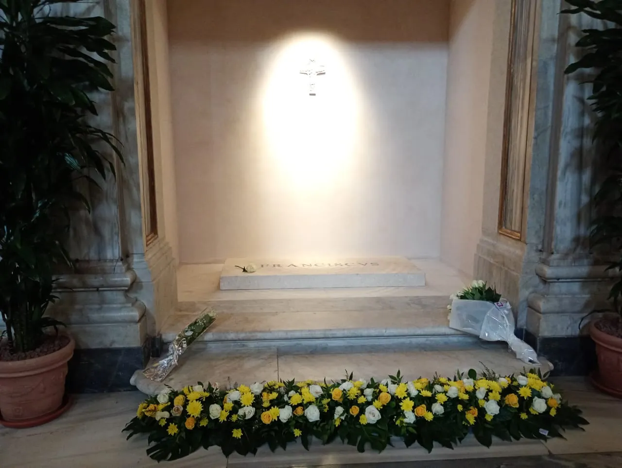 WhatsApp Image 2025-05-11 at 12.03.33