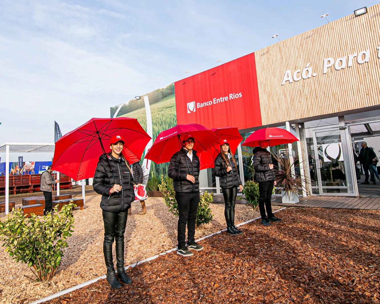 WhatsApp Image 2024-06-06 at 21.42.56