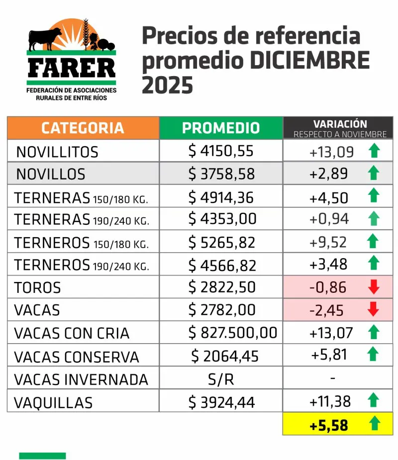 cuadro-de-hacienda-enero-2026-800x925