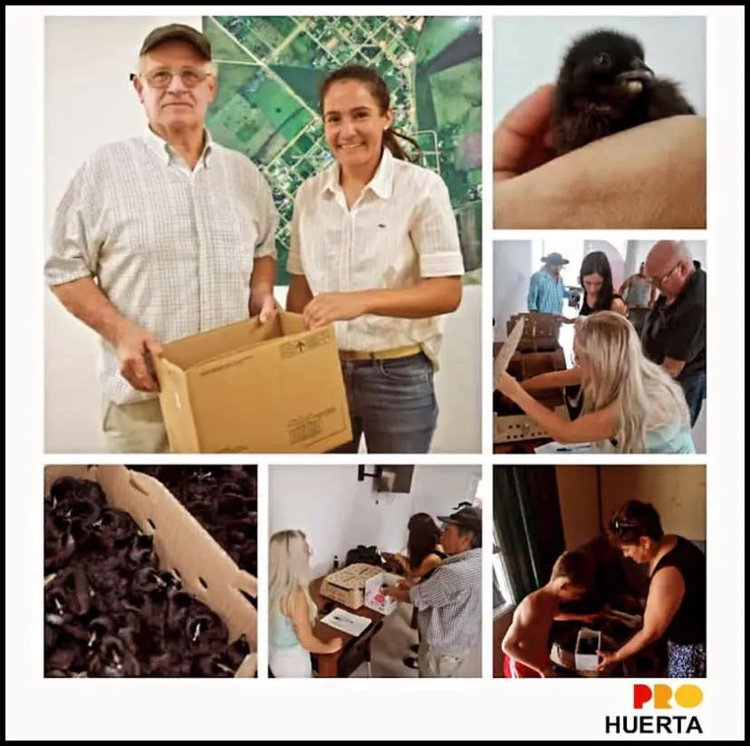 426326101_799600152207520_5939207615176418689_n