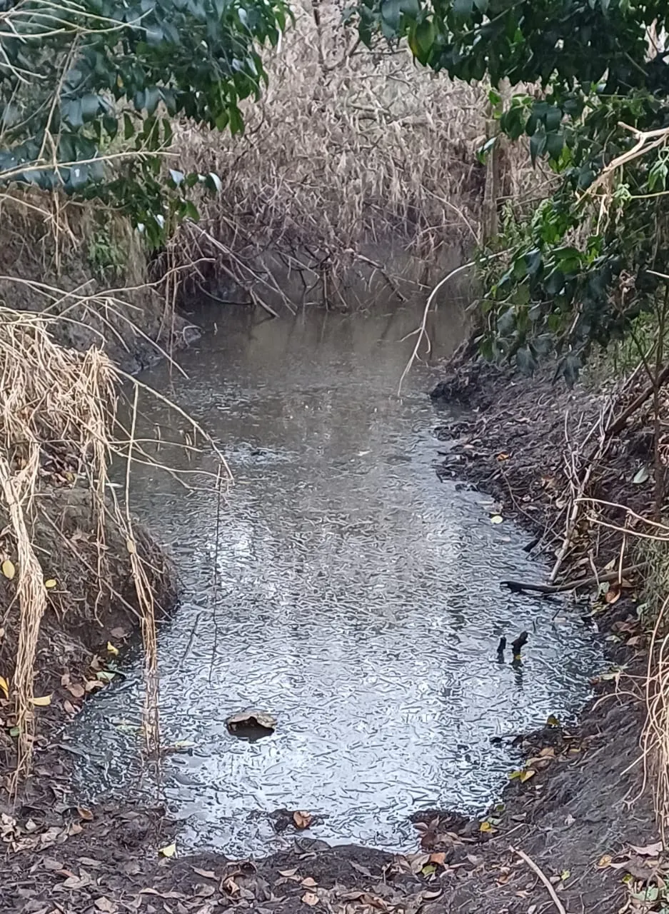 WhatsApp Image 2024-07-08 at 09.19.08