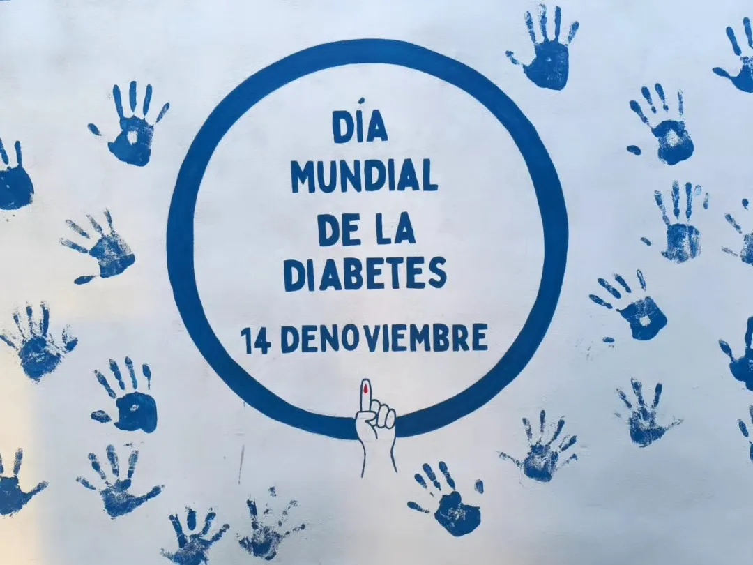 585877843_1264352899070166_8542145717351927761_n