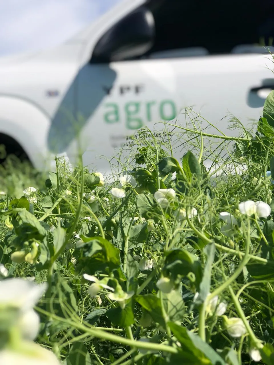 de8bd6b6-3fd8-411c-a3c9-5ff186178c36