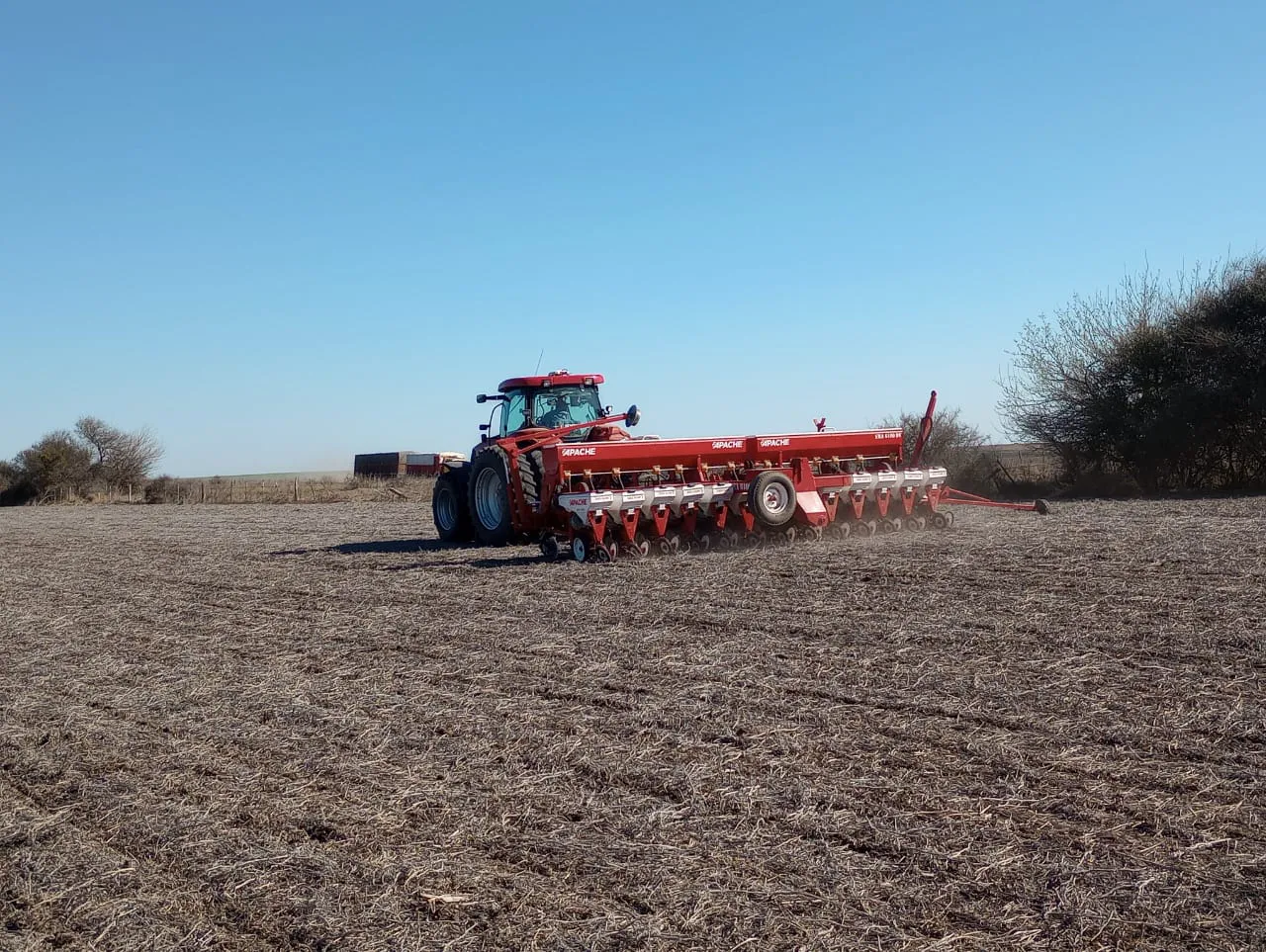 WhatsApp Image 2024-08-27 at 17.14.55