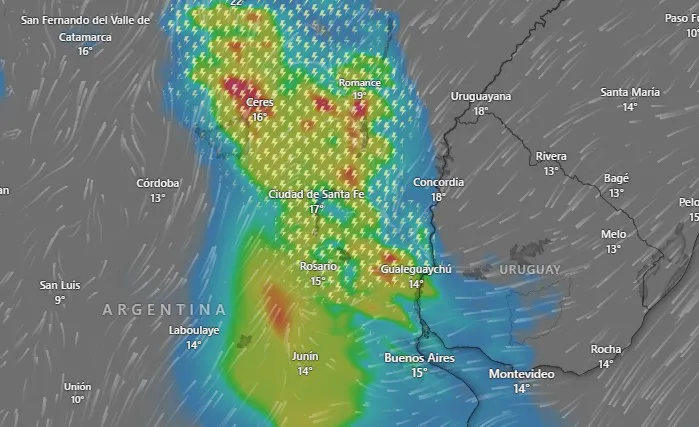 Sin_título-13R1C1 (2)