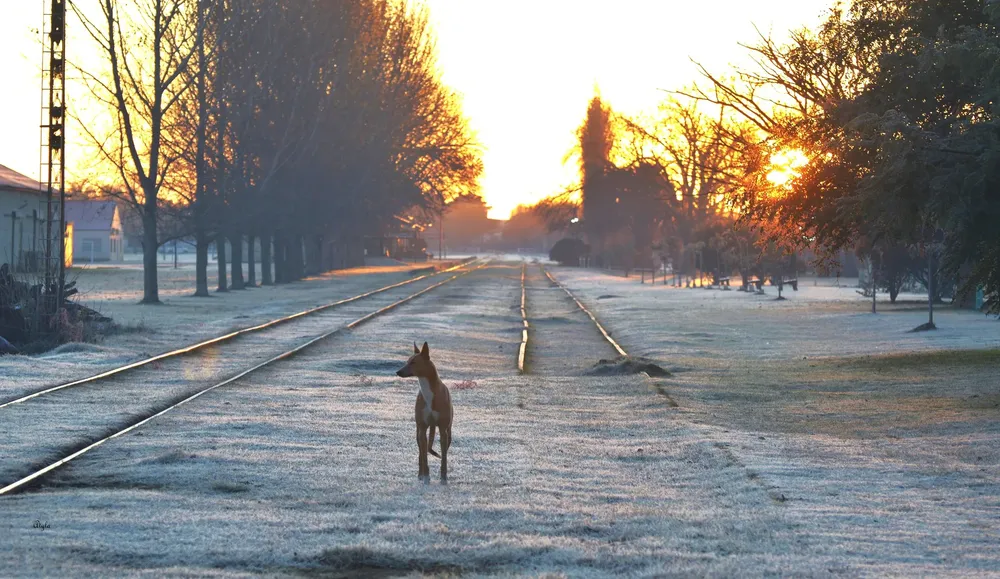 450458386_7886691004778219_4578695013238059280_n