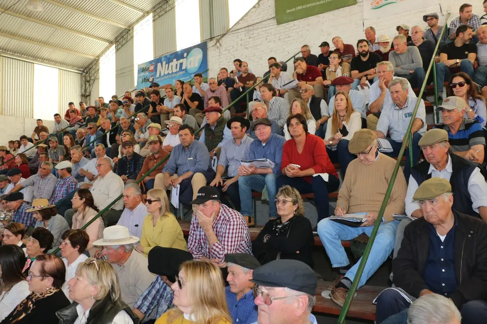 WhatsApp Image 2025-09-02 at 13.49.11