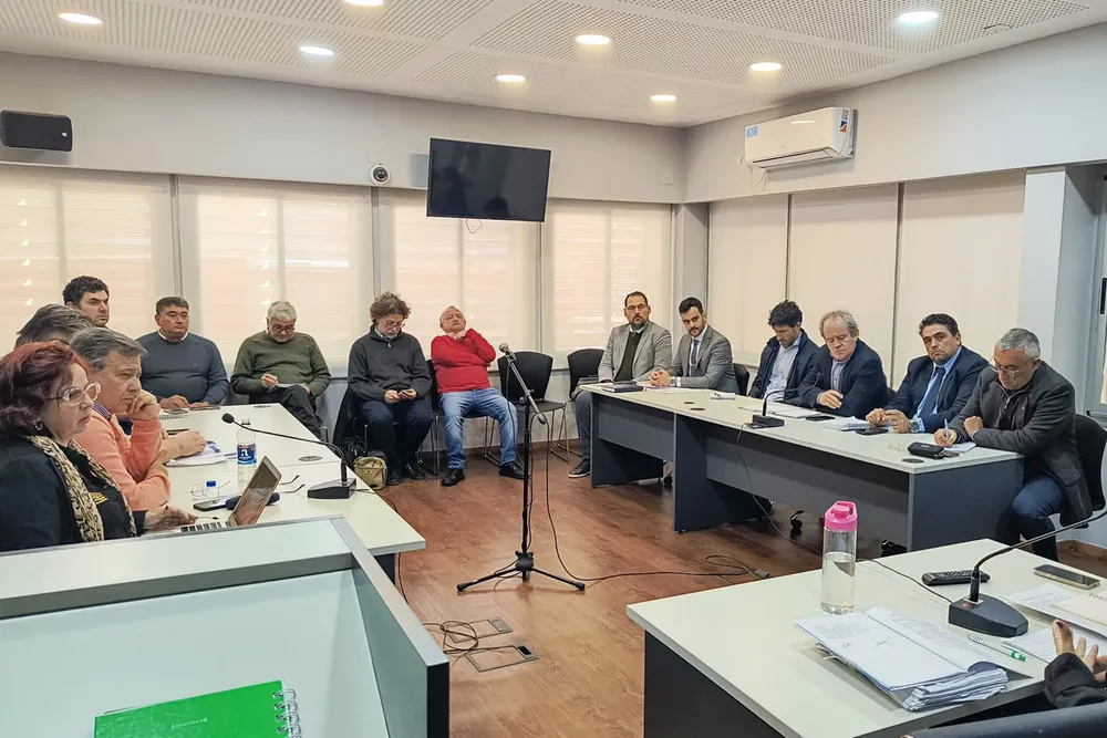 Audiencia - 2
