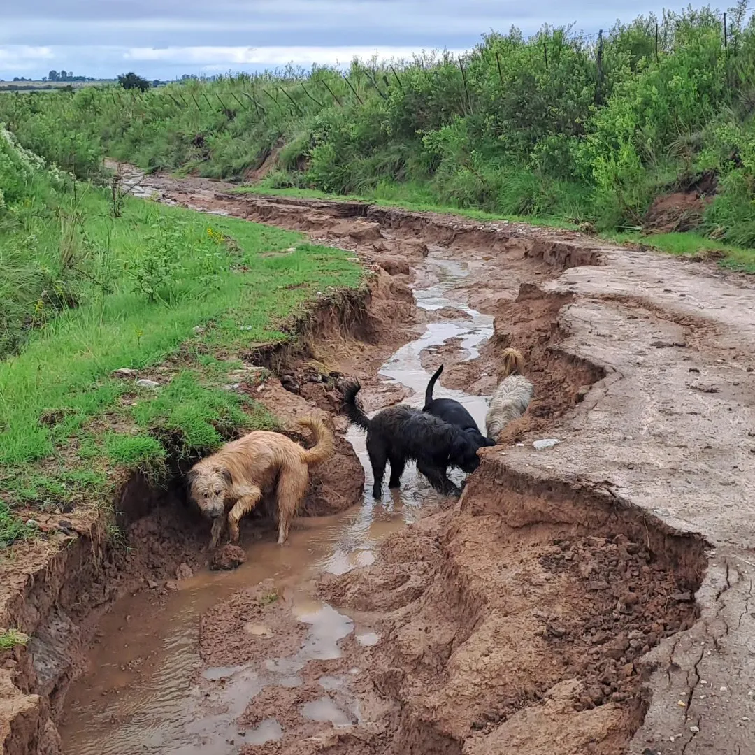 431903532_7339636166152628_5371454187470721394_n