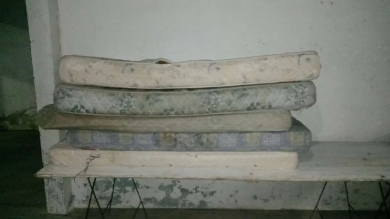 WhatsApp Image 2025-03-13 at 21.00.59