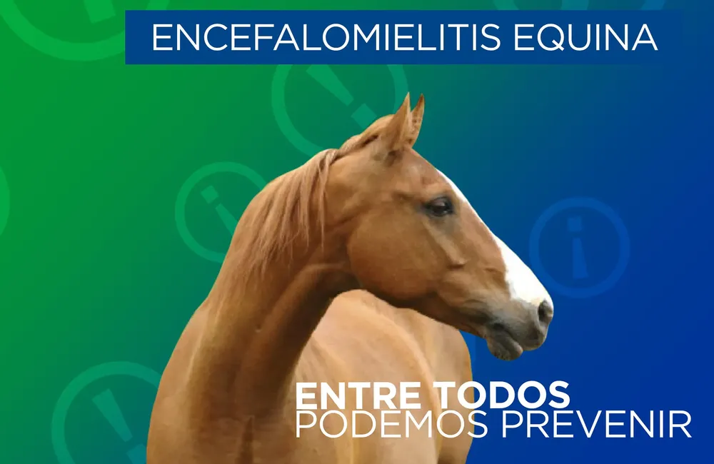 ence