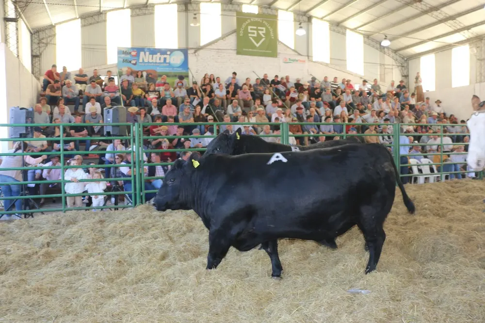 WhatsApp Image 2025-09-02 at 13.49.10