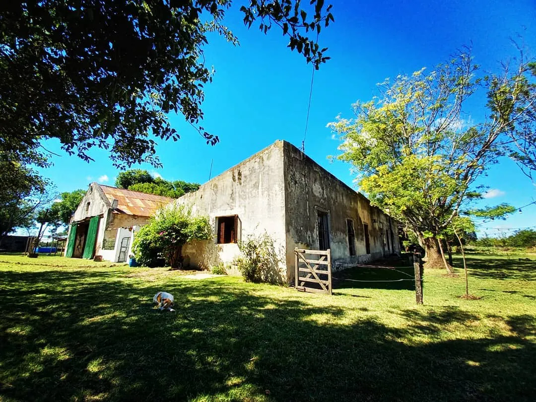 #felizdiadeltrabajador