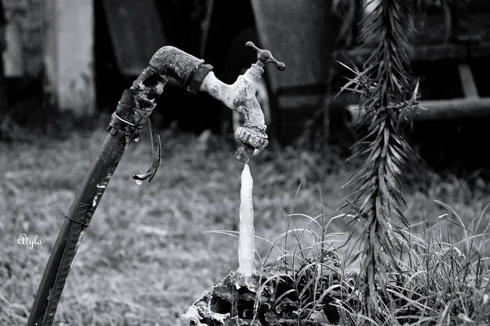 449379941_7808348249279162_8569328258038623393_n