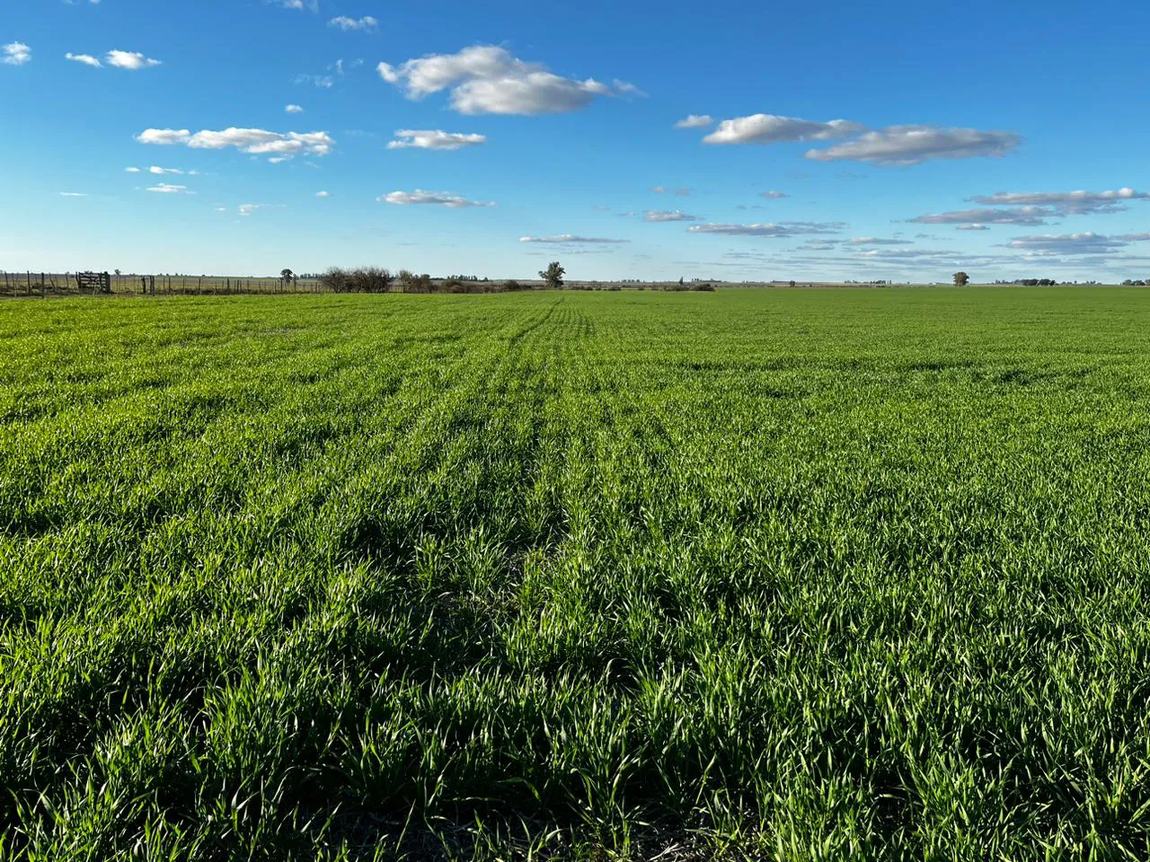 WhatsApp Image 2024-08-25 at 18.04.22