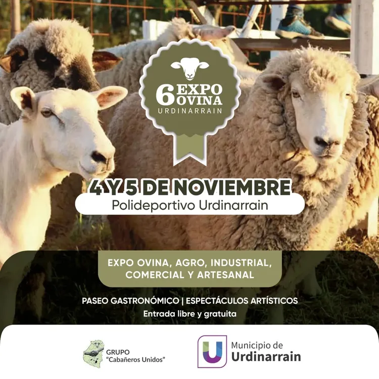 WhatsApp-Image-2023-09-05-at-10.09.06-1536x1536